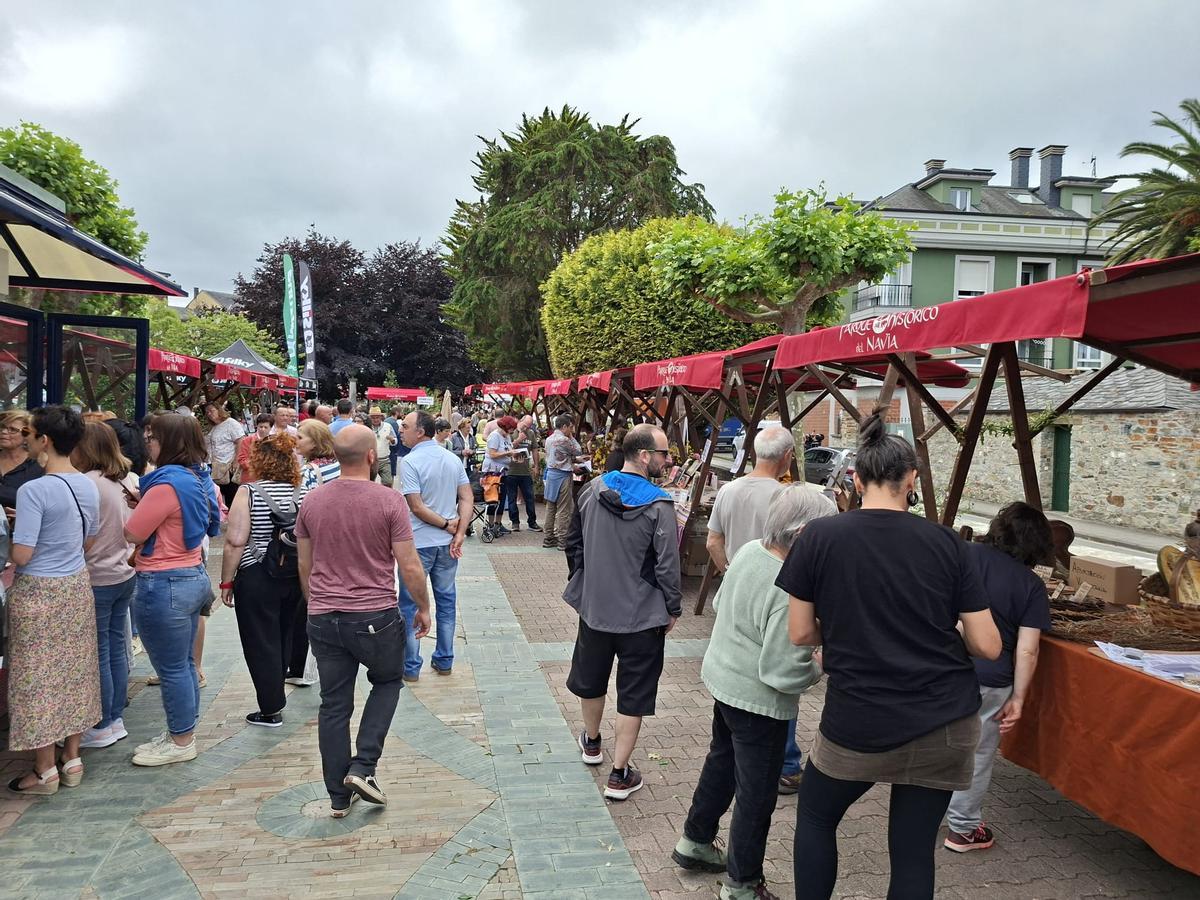 En imágenes: La primera feria de jardinería del Occidente llena La Caridad de color y buen ambiente