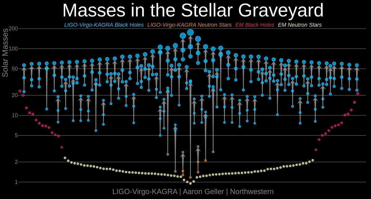La figura muestra las masas gravitatorias inferidas de estrellas de neutrones y agujeros negros a partir de observaciones electromagnéticas (EM) y de ondas gravitacionales (LIGO-Virgo-KAGRA). Las flechas conectan dos objetos compactos que se fusionan y su remanente fusionado como se ve por las emisiones de ondas gravitacionales.