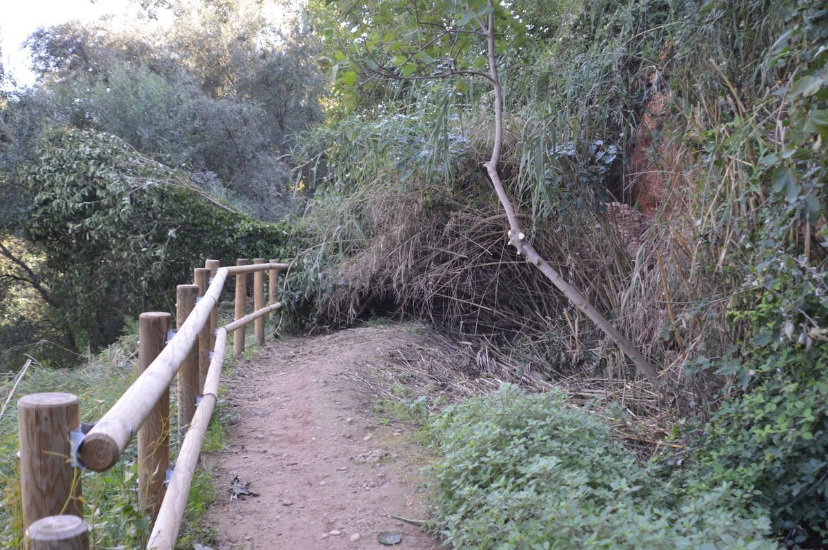 La Ruta Botánica se cerró en septiembre del 2021 a causa de un corrimiento de tierra y rocas consecuencia de las intensas lluvias.