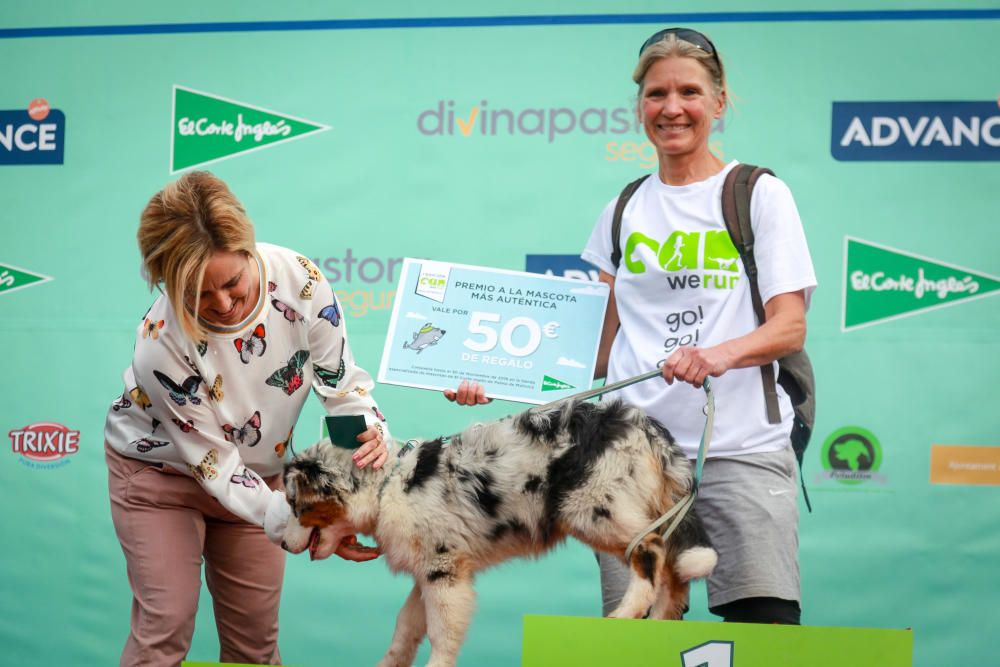 Can We Run Mallorca: So war das Hunderennen