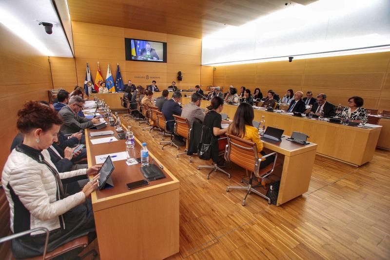 Pleno del Cabildo de Tenerife