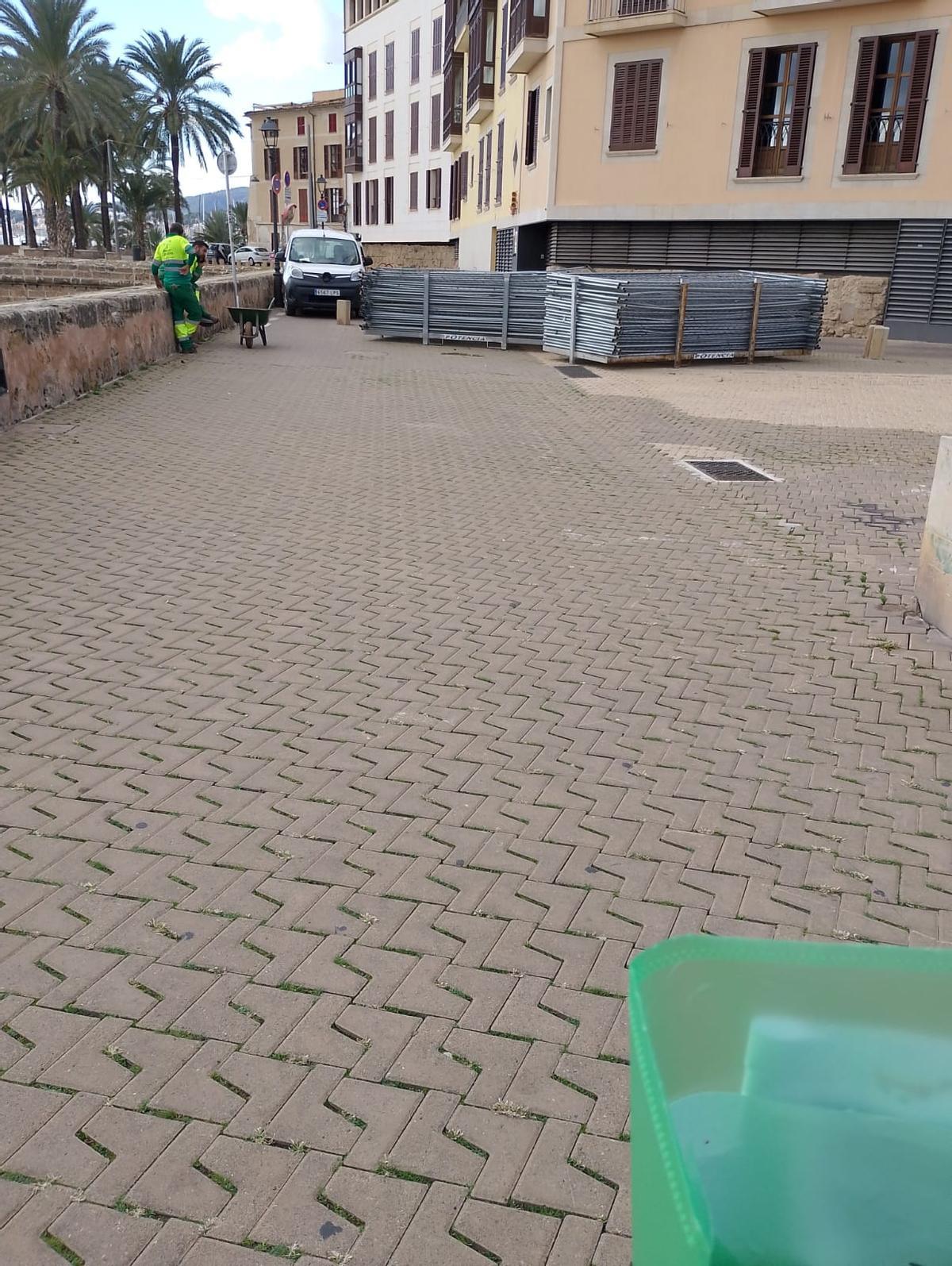 Cort instala vallas alrededor de la plaza Llorenç Villalonga en medio de las protestas vecinales por la tala de los bellasombra