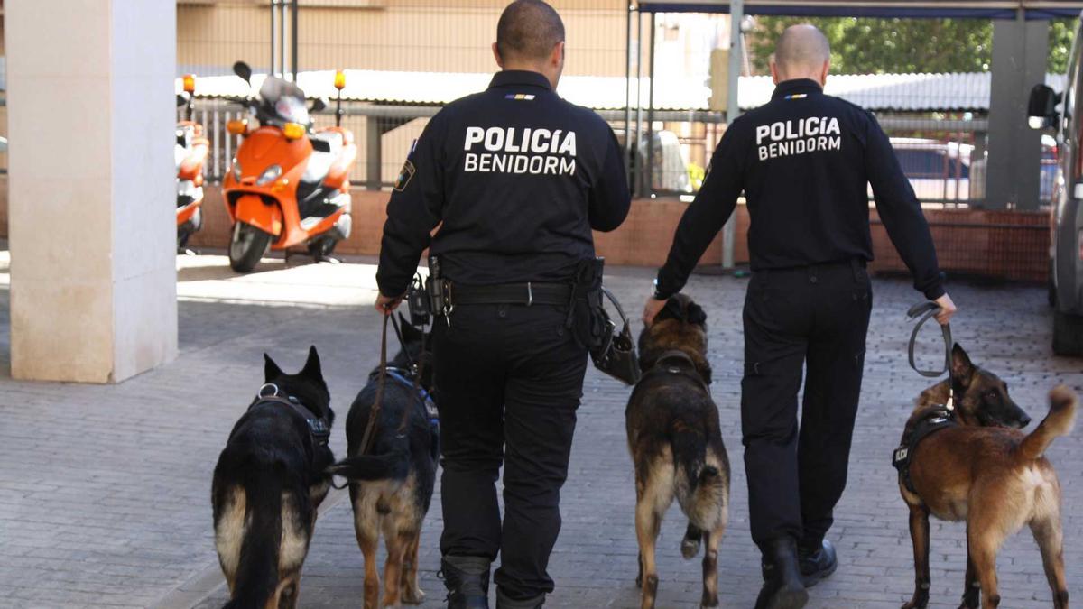 Patrullas de la Policía Local de Benidorm.