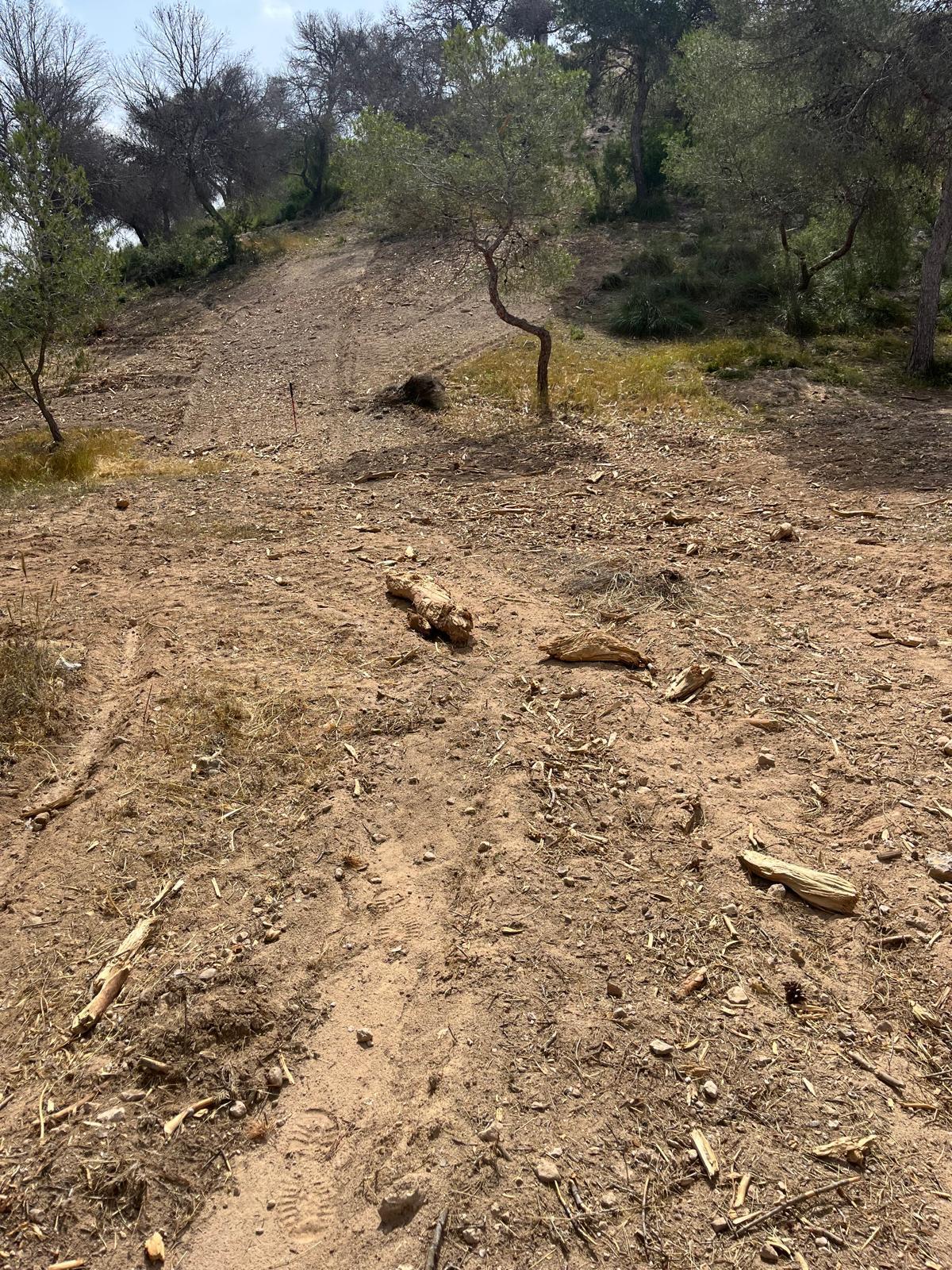 Desbroce en el parque El Recorral de Rojales