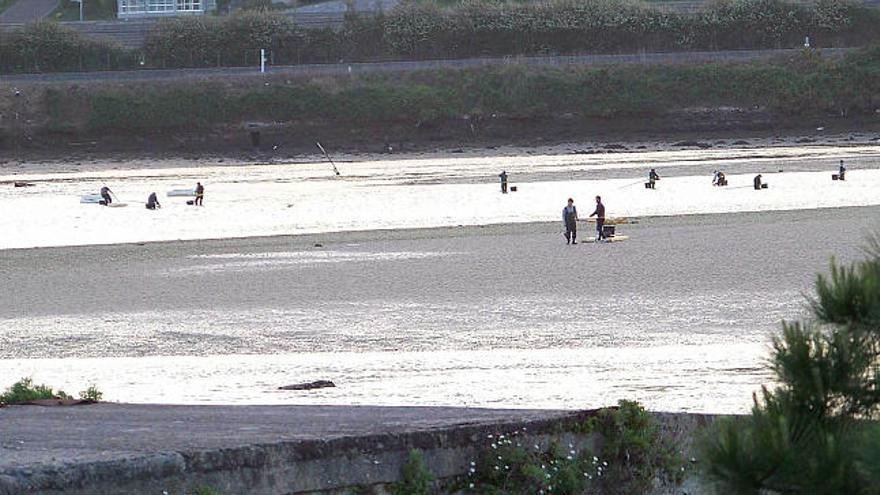 Furtivos esquilman la ría de A Pasaxe.