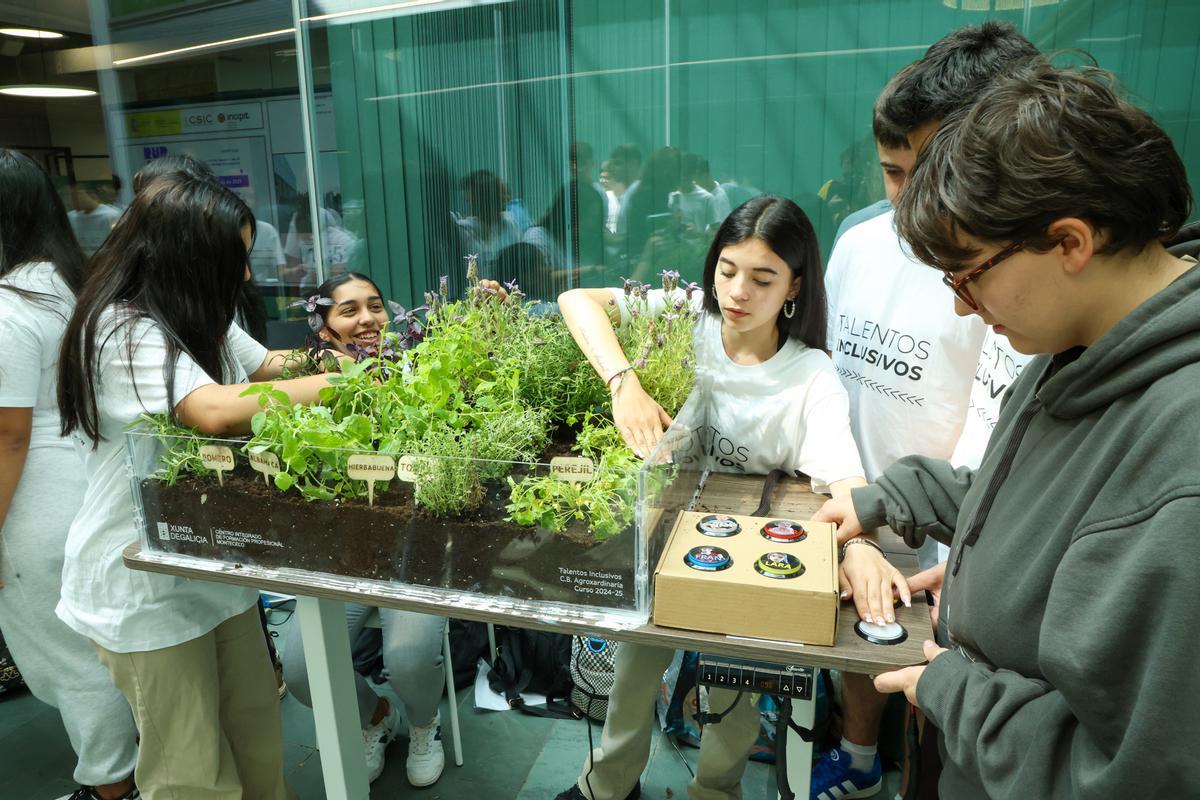 La jardinera elevable del CIFP Montecelo de Pontevedra