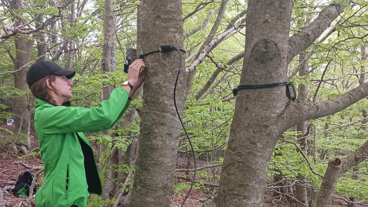 Col·locació dels dispositius per estudiar l'imapcte de visitants als parcs naturals