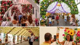 Campo Maior abre "el mayor jardín del mundo" hasta el 16 de agosto