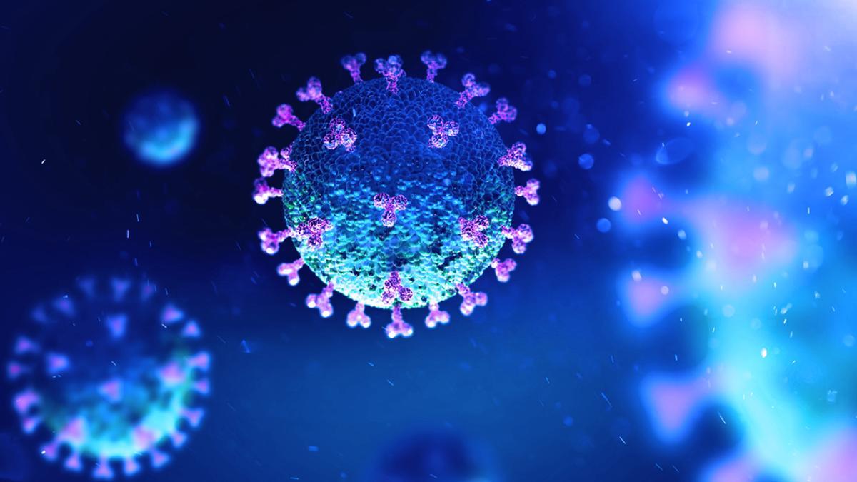 Coronavirus bajo el microscopio.