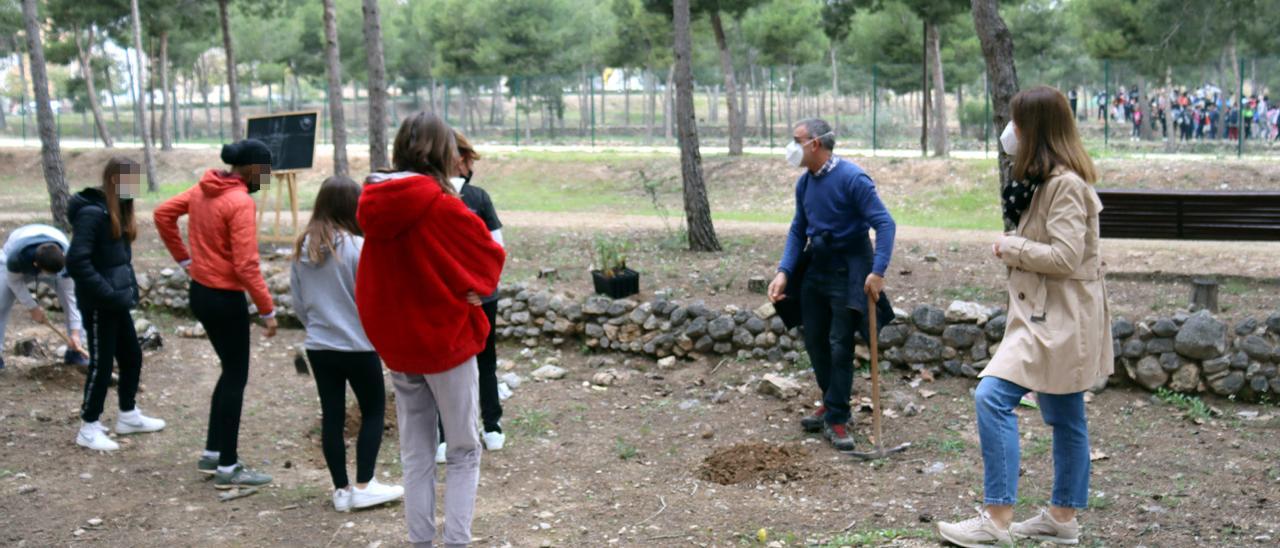 Un momento de la jornada de reforestación que han llevado a cabo los alumnos de este instituto.