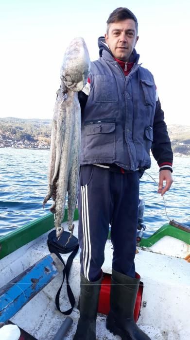 Diego Bermúdez con el pulpo de siete kilos capturado frente al muelle de trasatlánticos de Vigo