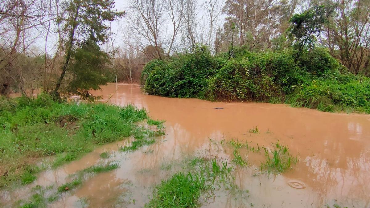 Parque del Turia. El río se desborda por las lluvias