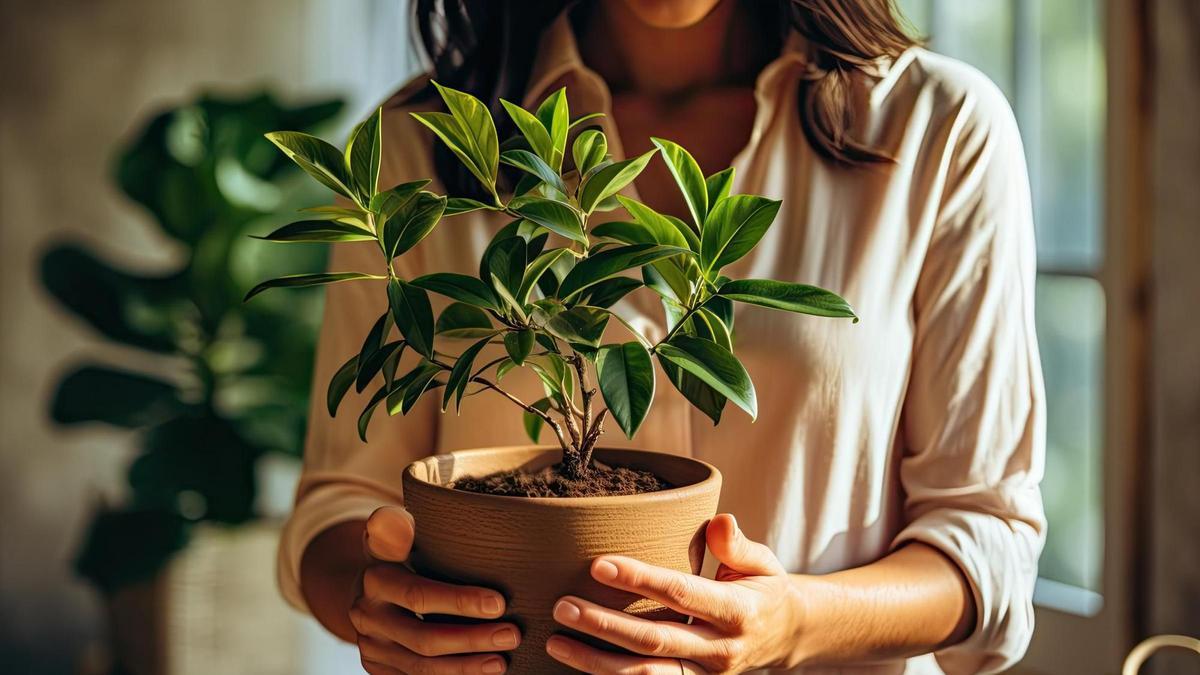 Cuida de tus plantas con este nuevo gadget de Ikea