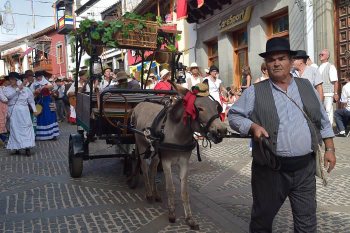 Carretas y grupos en la romería del Pino