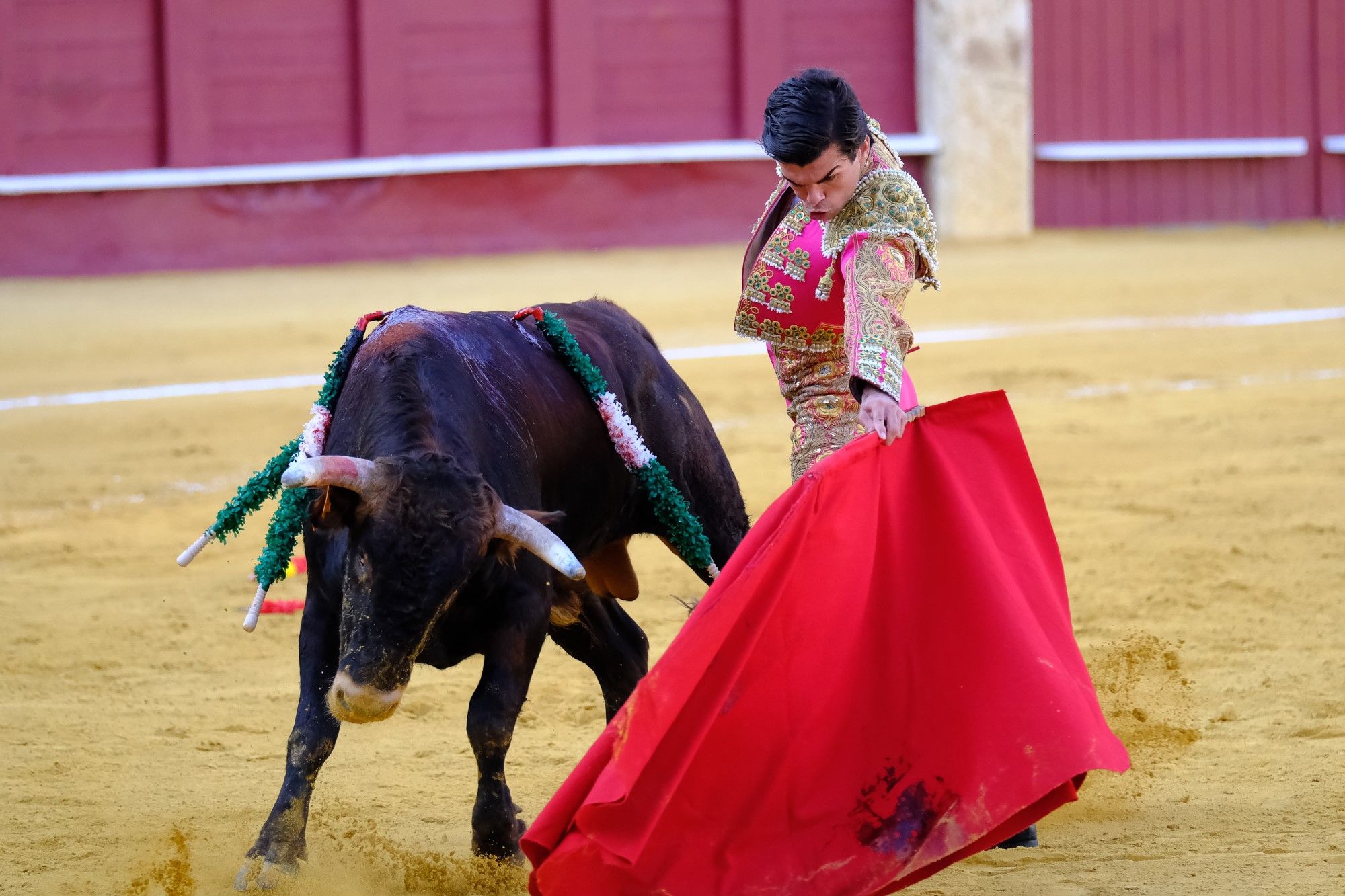 Toros en la Feria | Novena corrida de abono en La Malagueta: 3ª Semifinal de las Escuelas Taurinas