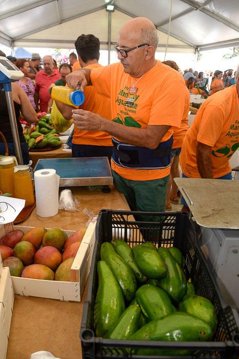 II FERIA MANGO Y AGUACATE