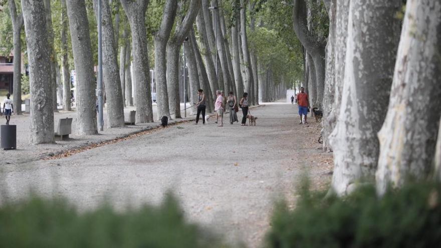 El parc de la Devesa, on els veïns volen limitar les activitats i fer que sigui un espai natural