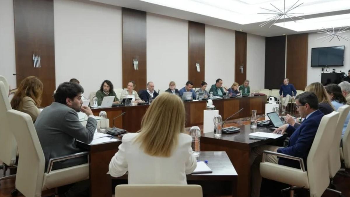 Sesión plenaria en Villanueva de la Serena.