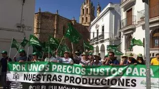 La Comunidad de Labradores apoya la manifestación del 31 de marzo