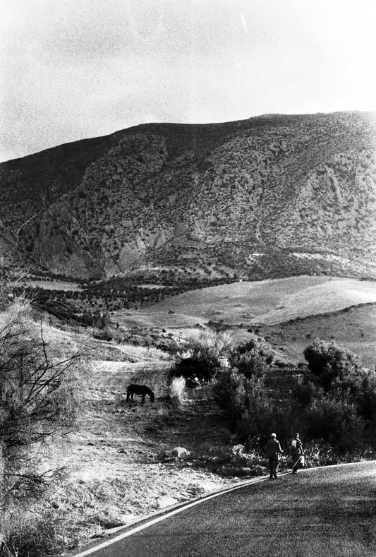 Carretera MA-4401, entre Valle de Abdalajís y El Torcal.