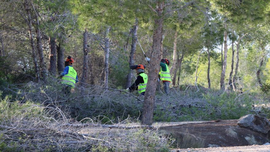 Benidorm limpia de matorral y vegetación el parque de El Moralet para la prevención de incendios