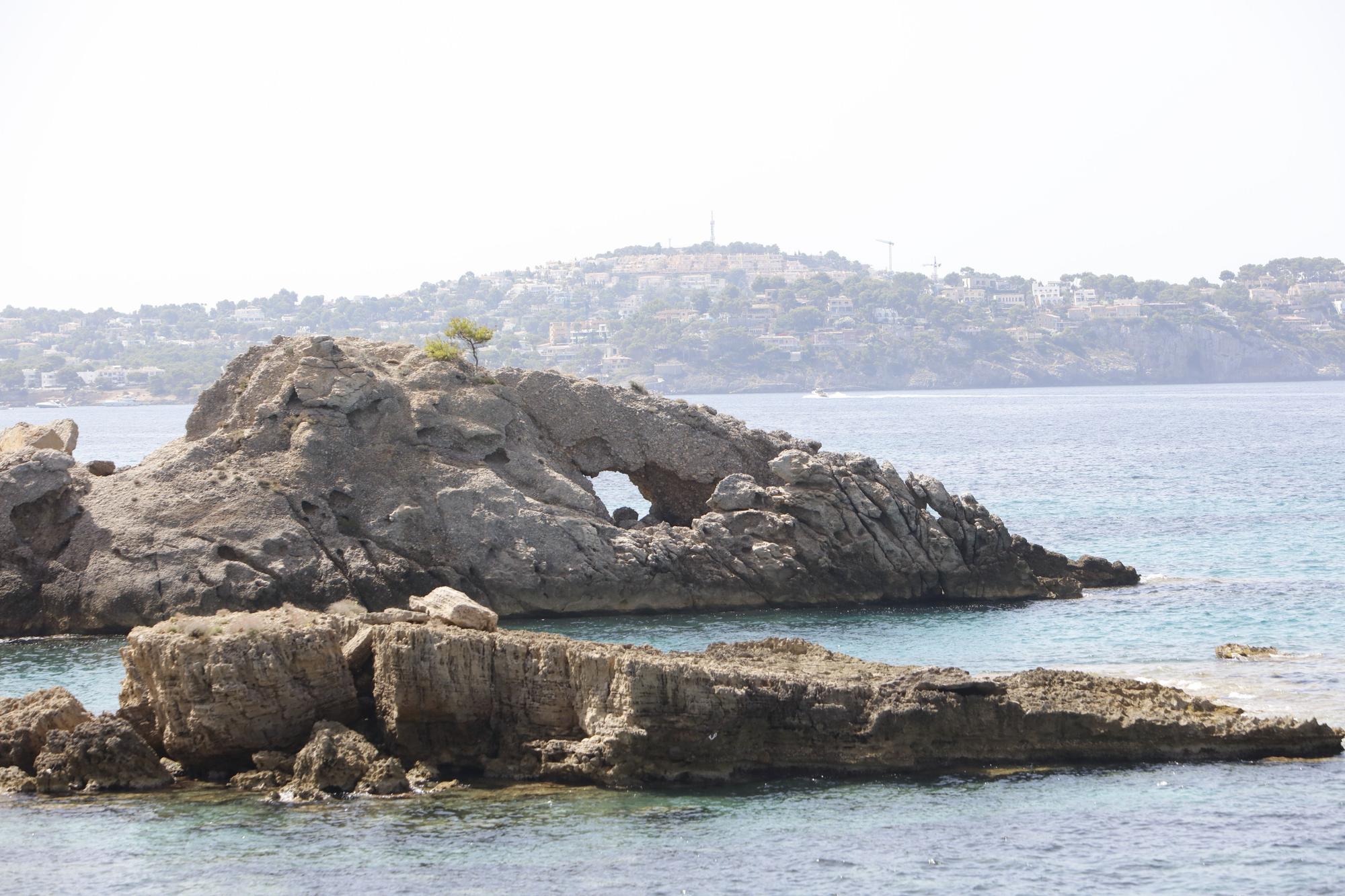 Sommer in Peguera: So genießen die Mallorca-Urlauber das Leben am beliebten Badestrand