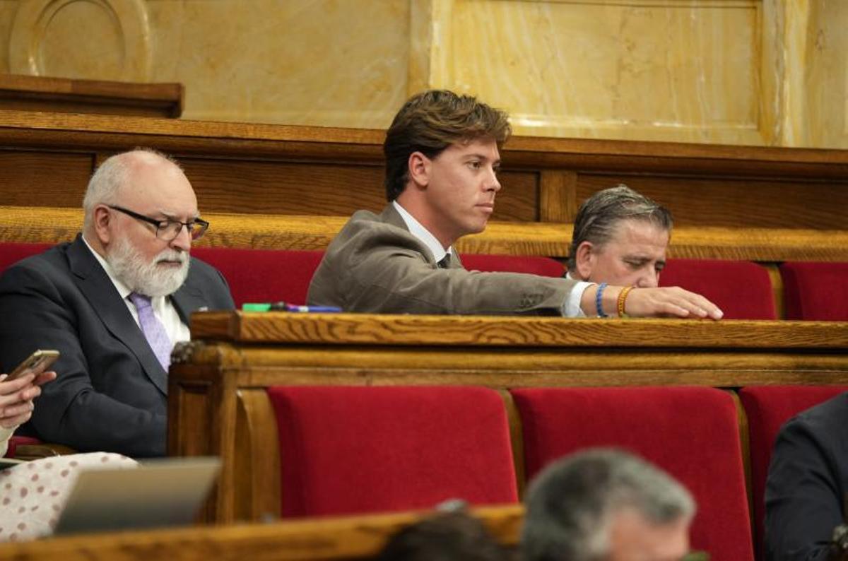 Alberto Tarradas, diputado de Vox.