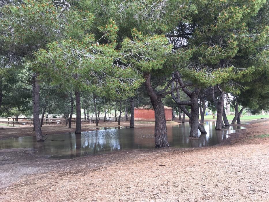 Precaución en la Universidad de Alicante por el viento