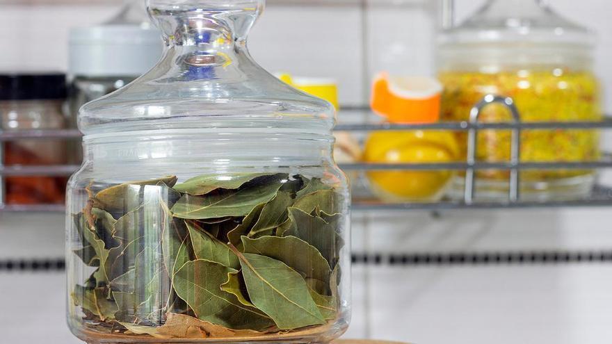 Una hoja del laurel en la nevera: el remedio de la abuela con el que terminarás para siempre con el gran problema de tu cocina