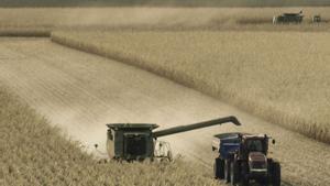 Les empreses espanyoles compren gas, blat de moro i fàrmacs als EUA