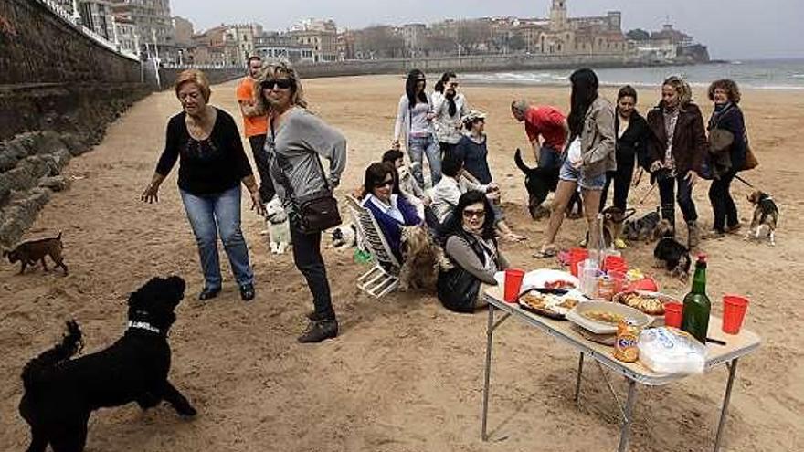 Dueños de perros el penúltimo día que podían bajar los canes a la playa.