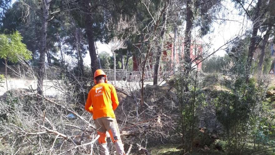 Trabajos en el bosque de la Vallesa.