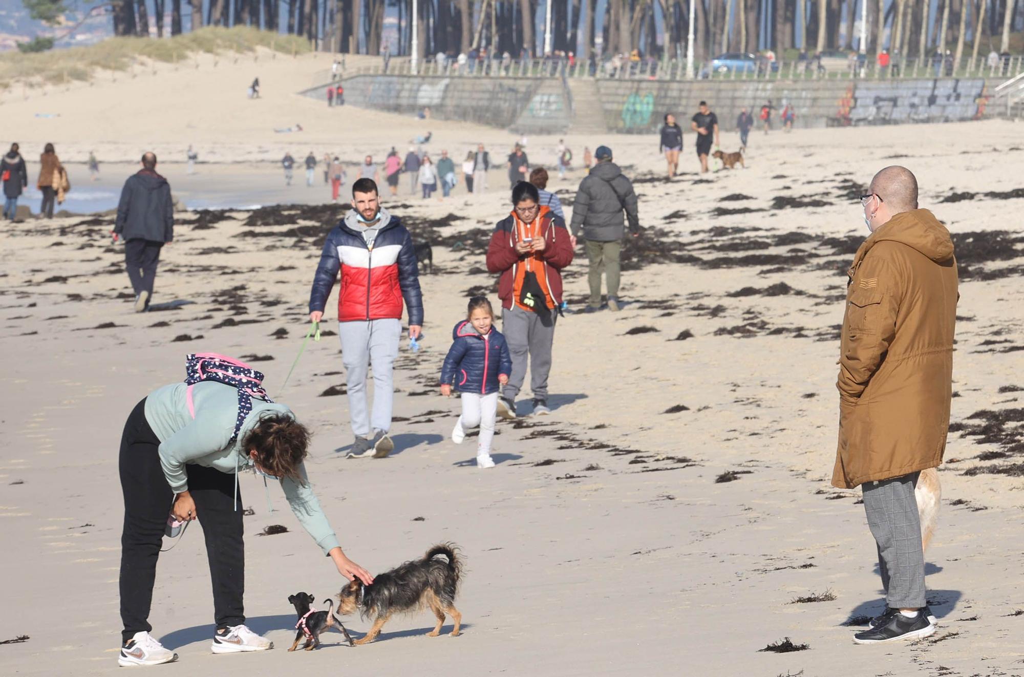 Vigueses y mascotas disfrutan del buen tiempo en Samil