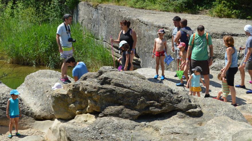 Banyistes i visitants a la riera de Merlès, a tocar del càmping Merlès