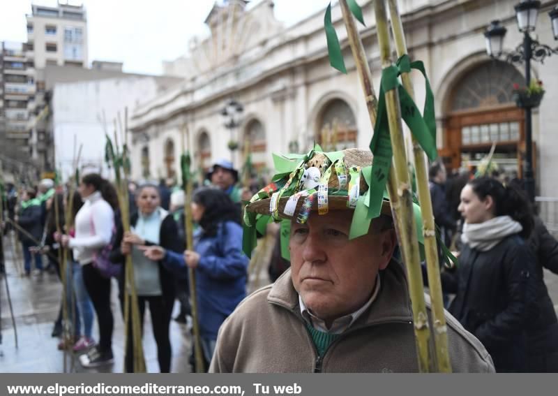 Romeria a la Magdalena 2016