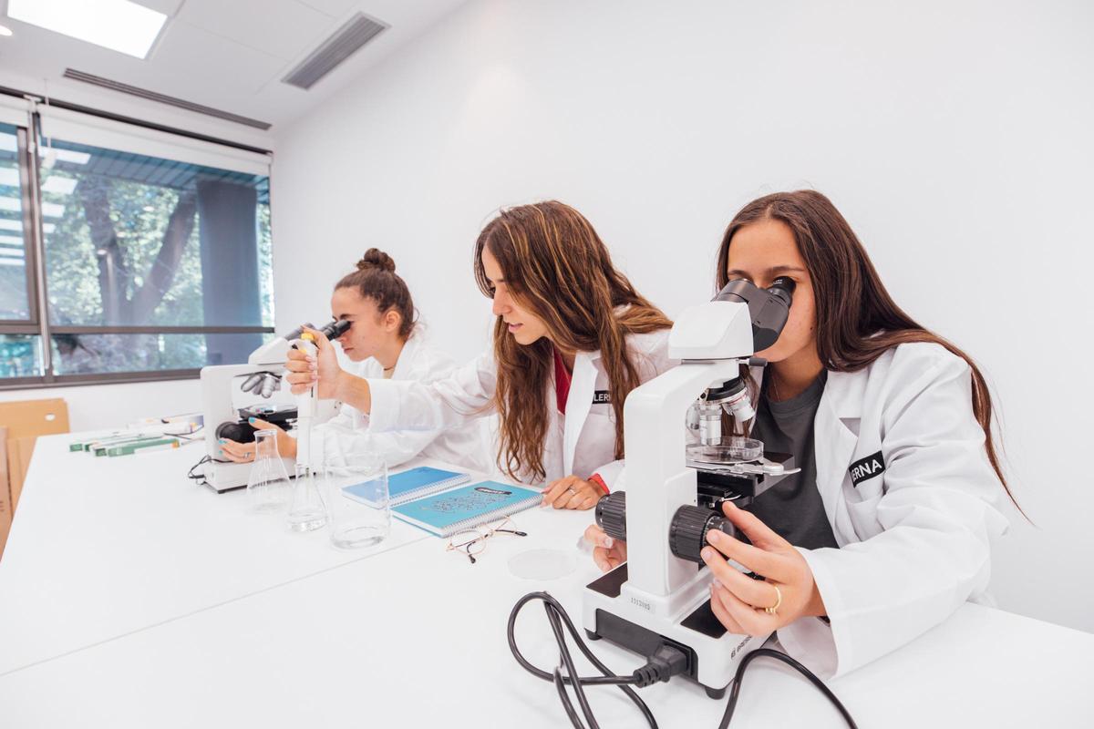 A diferencia de una titulación universitaria, la formación profesional se concentra en dos años