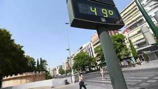 Diccionario para sobrevivir al verano en Córdoba