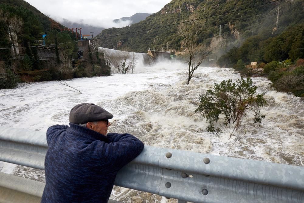 El riu Ter, al seu pas per la presa del Pasteral a la Cellera de Ter