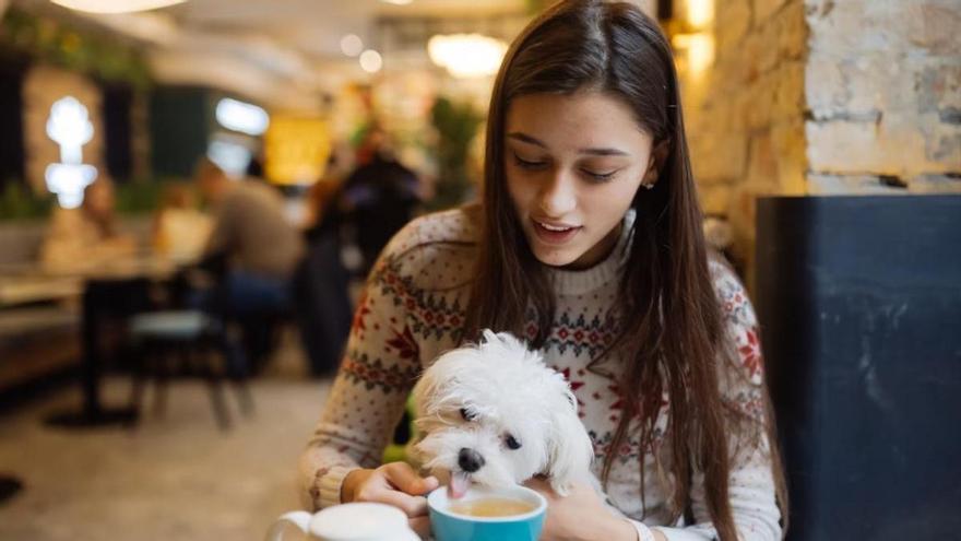 Un client es queixa perquè deixen entrar mascotes en un bar i la resposta del propietari es fa viral a les xarxes socials