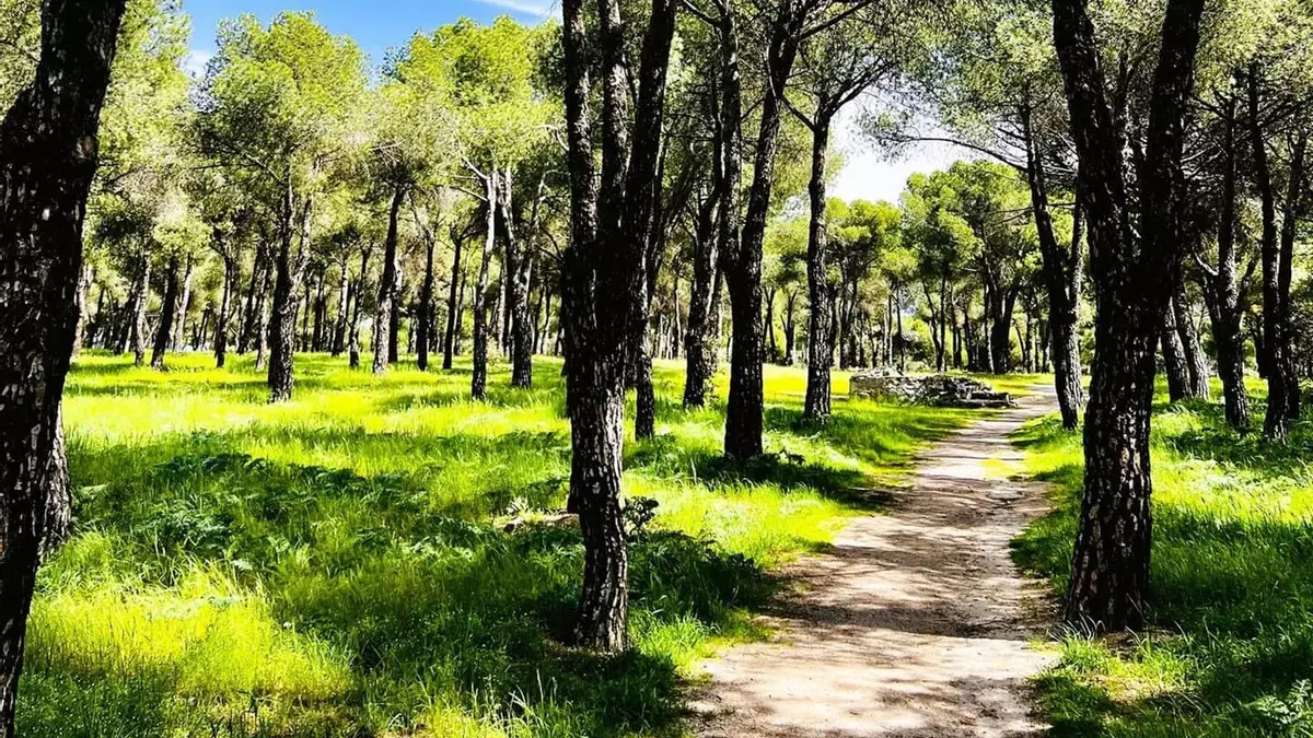 Las Rozas: una escapada familiar con todo a un paso de Madrid