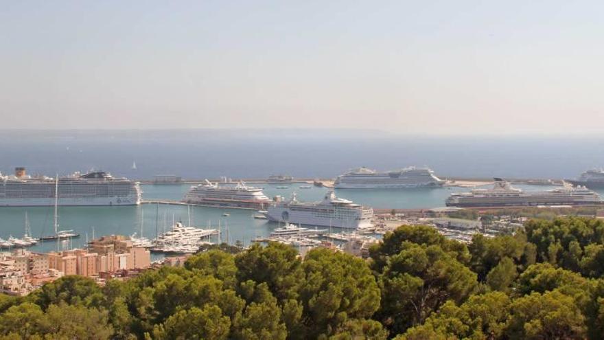 Es probable que ayer se batiera el récord de cruceristas en Palma con los 7 cruceros.