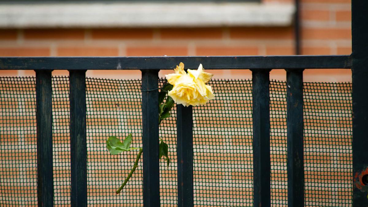 La mujer asesinada en Valladolid por su marido estaba en trámites de separación.