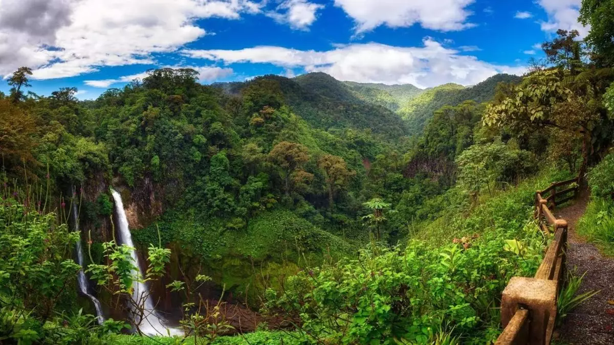 Así puedes compensar la huella de carbono en tu próximo viaje a Costa Rica