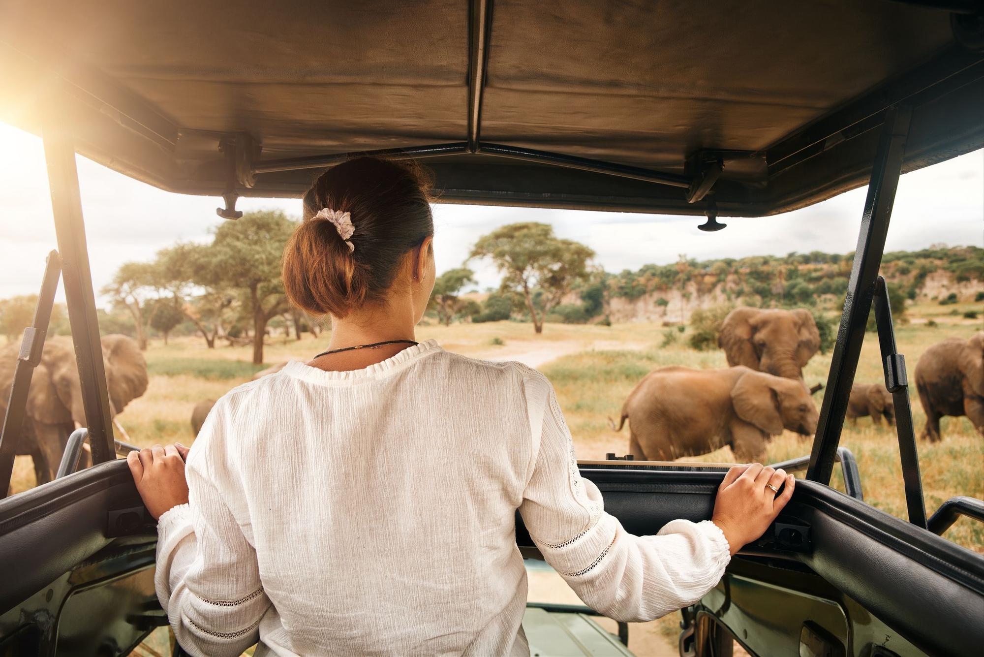 Estos son los tres safaris que no debes perderte en Tanzania: una inolvidable aventura en África