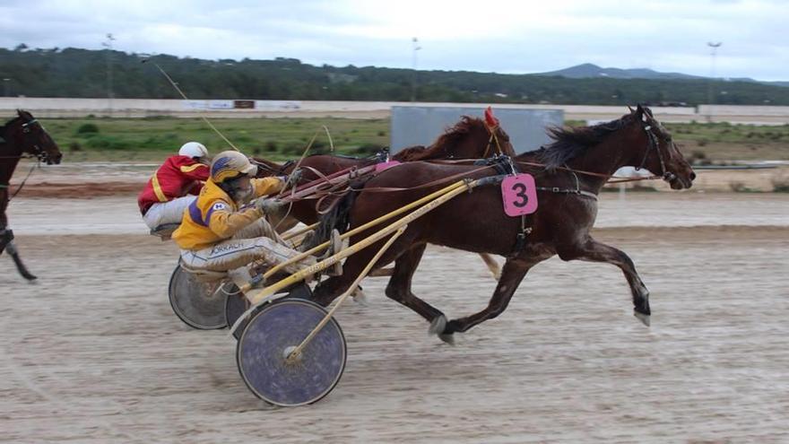 La victoria de &#039;Guille&#039; Horrach-Vidal en Ibiza a las riendas del caballo francés Thé de Chine.