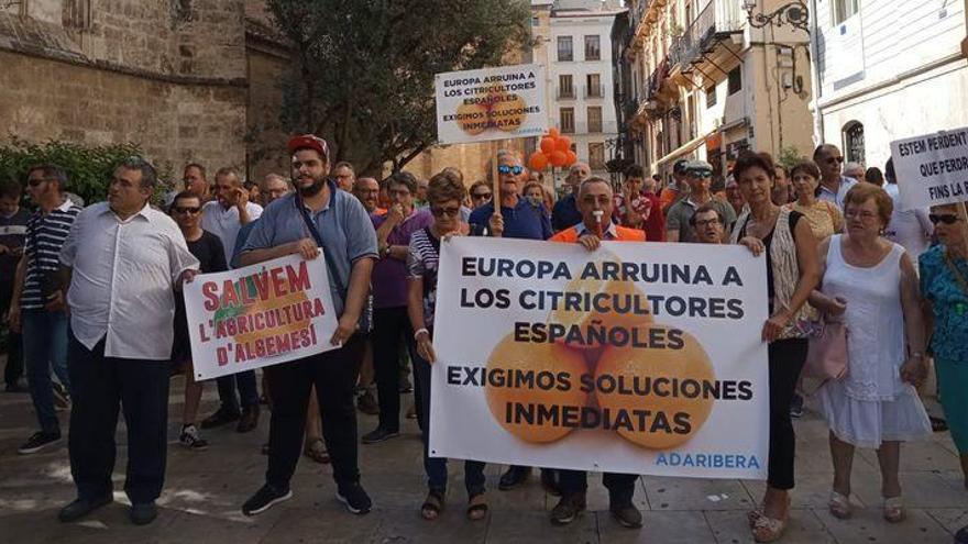 Movilización en València en defensa de la naranja