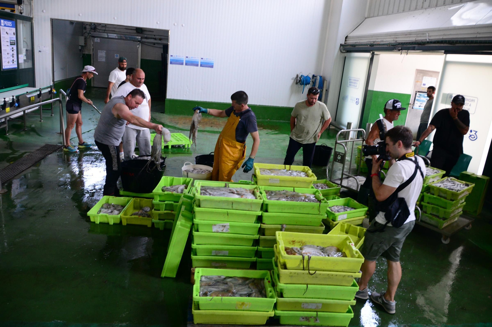 El inicio de la campaña del pulpo en el puerto de Bueu
