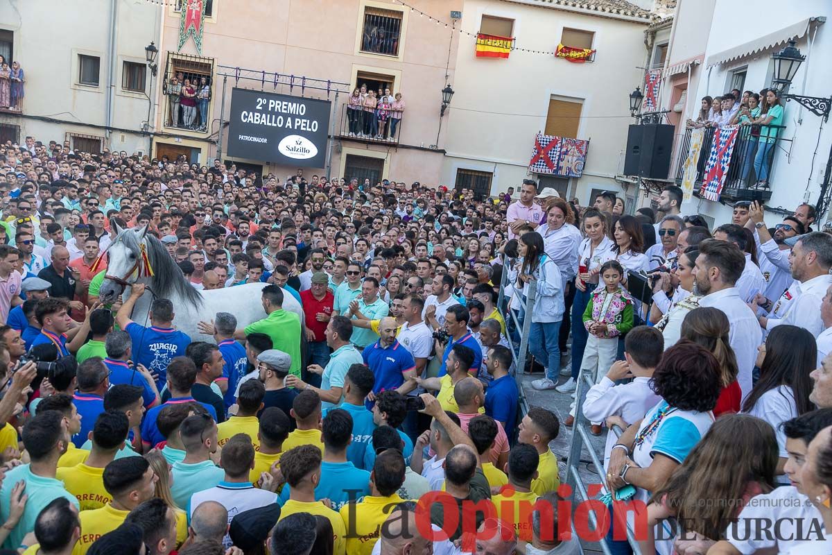 Entrega de premios del concurso morfológico de los Caballos del Vino de Caravaca