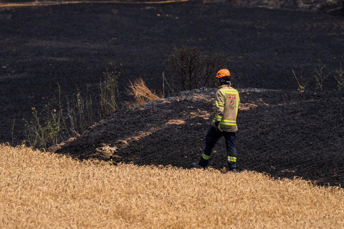 GUARDIOLA 02/07/2025 Sociedad. Bombers ayudando a combatir los focos que salen. Incendio en lleida con dos muertos y miles de evacuados. FOTO de ZOWY VOETEN