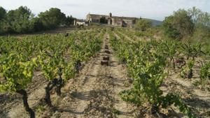 "Els EUA són un mercat difícil de substituir"